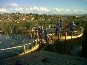 Project_CALENDON6