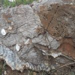 Project_Kotsong water